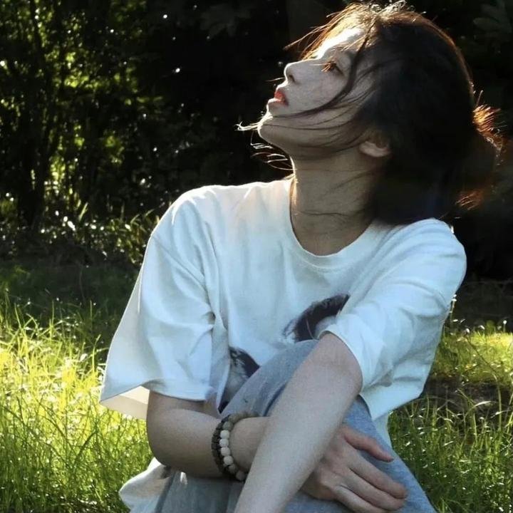 天狼星行动